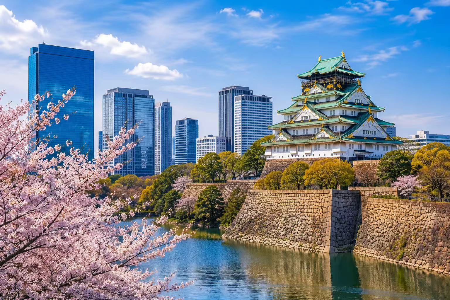 Osaka Castle and the city skyline during a sightseeing day