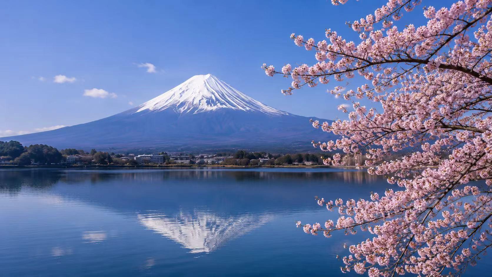 Mount Fuji and spring scenery on a Tokyo-region day trip
